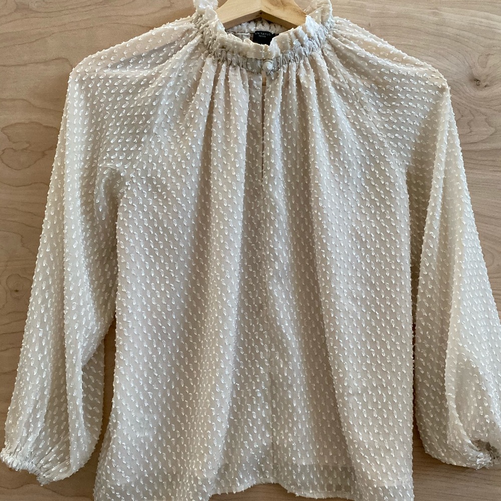 Ann Taylor Blush Blouse